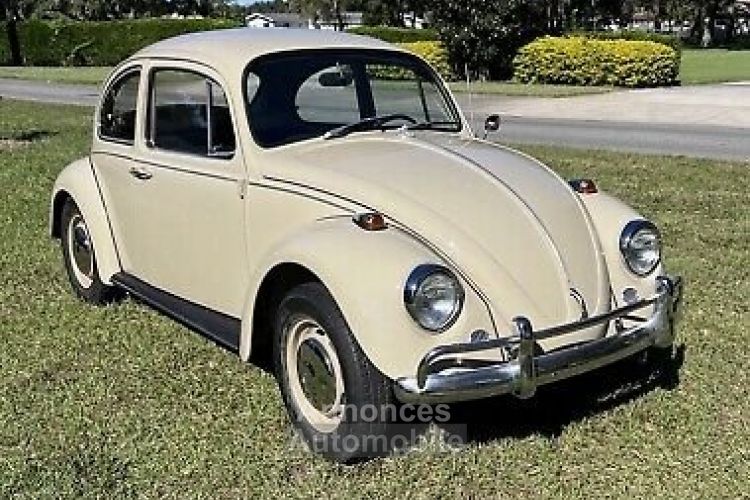 Volkswagen Beetle (Pre-1980)  - <small></small> 22.600 € <small>TTC</small> - #2