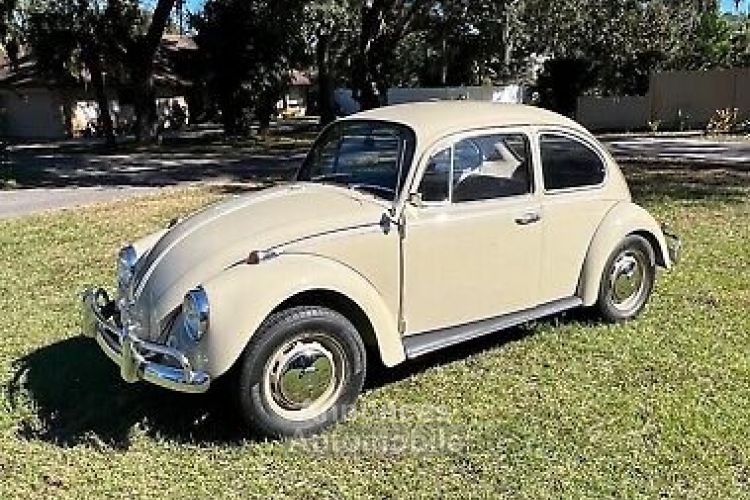 Volkswagen Beetle (Pre-1980)  - <small></small> 22.600 € <small>TTC</small> - #3