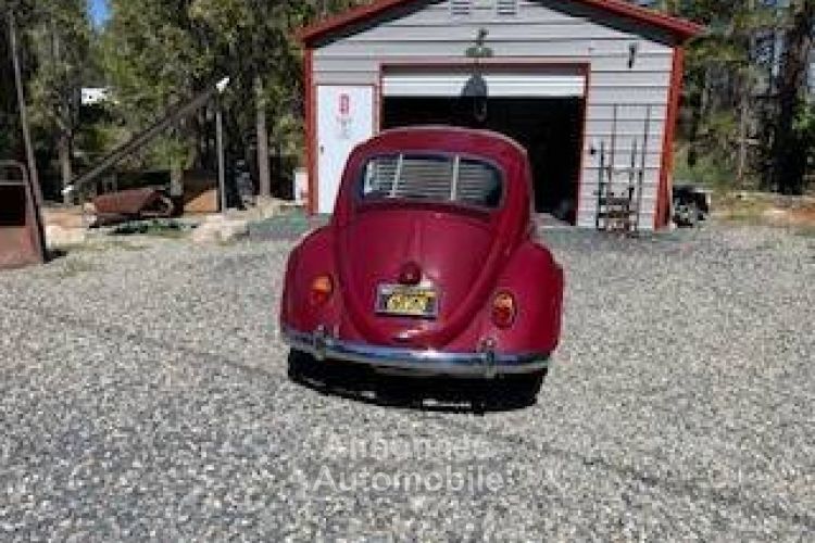 Volkswagen Beetle Vw  - <small></small> 23.000 € <small>TTC</small> - #2