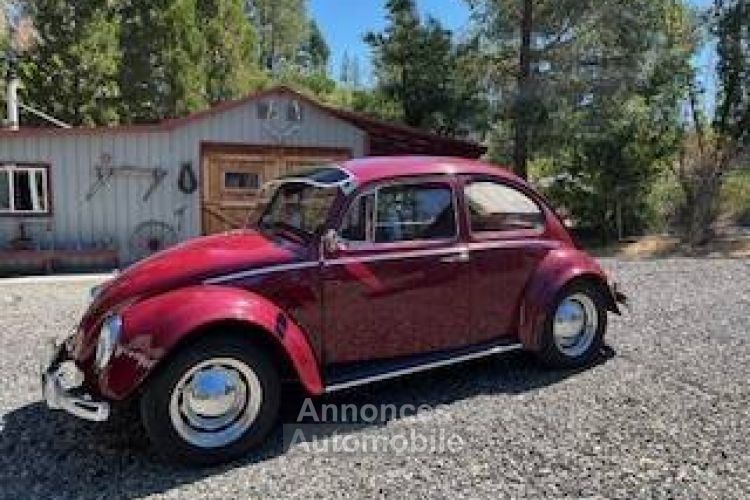 Volkswagen Beetle Vw  - <small></small> 23.000 € <small>TTC</small> - #3