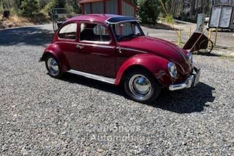 Volkswagen Beetle Vw  - <small></small> 23.000 € <small>TTC</small> - #4