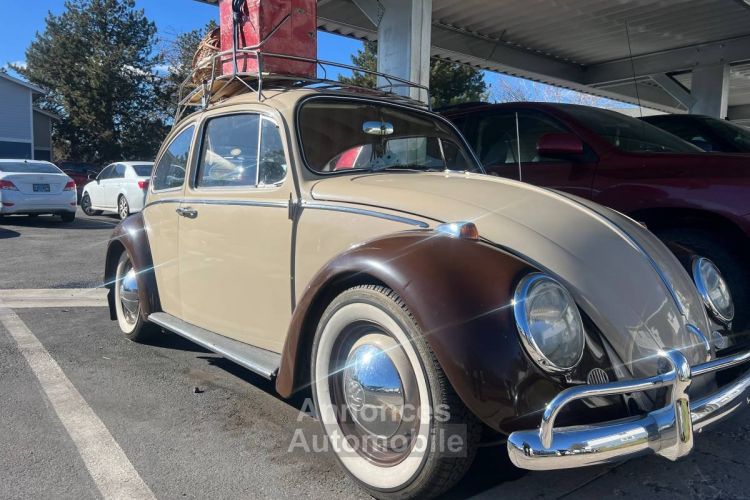 Volkswagen Beetle Vw  - <small></small> 19.000 € <small>TTC</small> - #2