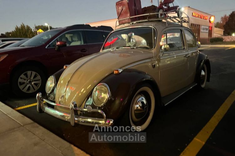 Volkswagen Beetle Vw  - <small></small> 19.000 € <small>TTC</small> - #7