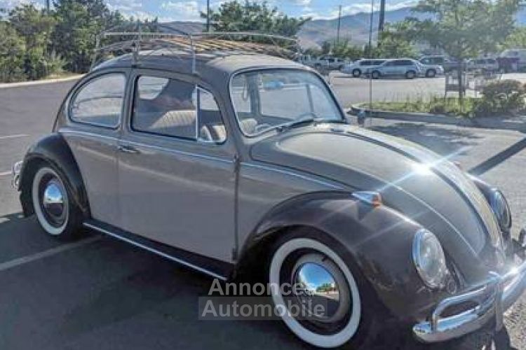 Volkswagen Beetle Vw  - <small></small> 19.000 € <small>TTC</small> - #10