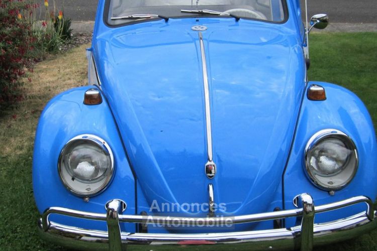 Volkswagen Beetle Vw  - <small></small> 24.000 € <small>TTC</small> - #14