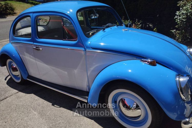 Volkswagen Beetle Vw  - <small></small> 24.000 € <small>TTC</small> - #16