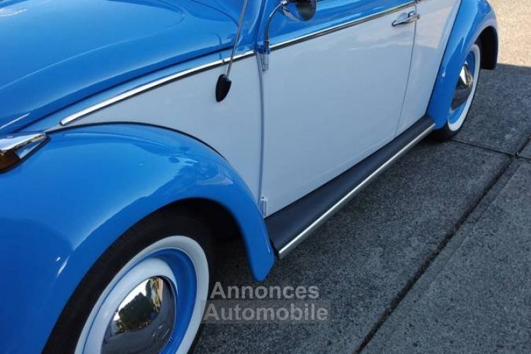 Volkswagen Beetle Vw  - <small></small> 24.000 € <small>TTC</small> - #17