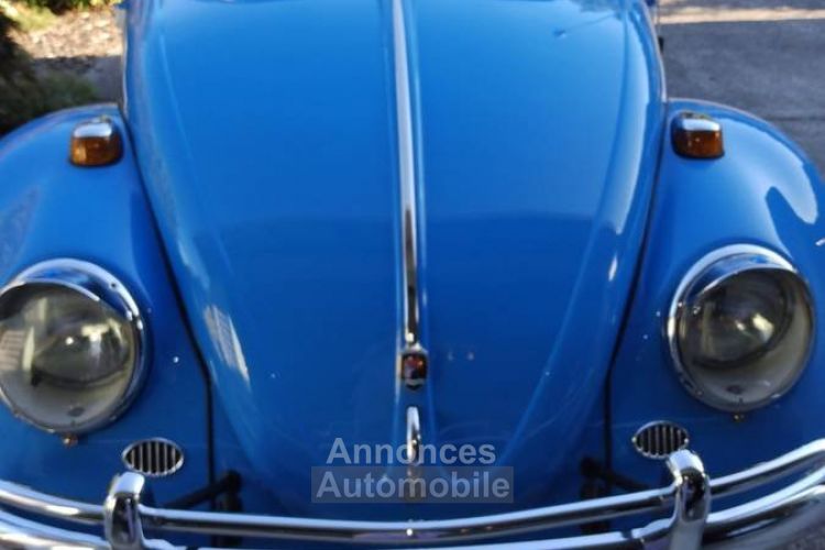 Volkswagen Beetle Vw  - <small></small> 24.000 € <small>TTC</small> - #18