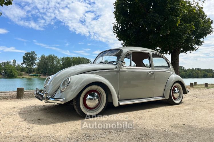 Volkswagen Coccinelle 1200 - <small></small> 23.000 € <small>TTC</small> - #2