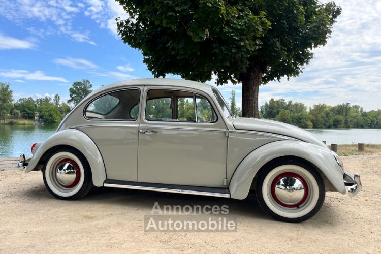 Volkswagen Coccinelle 1200 - <small></small> 23.000 € <small>TTC</small> - #3