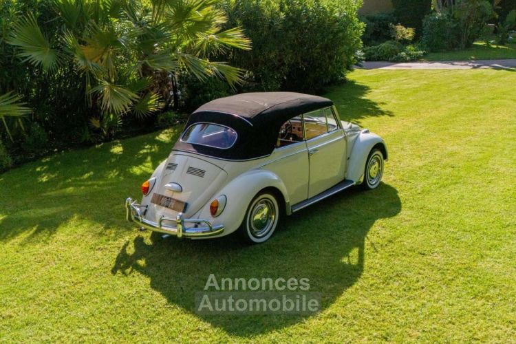 Volkswagen Coccinelle Karmann Cabriolet - <small></small> 29.990 € <small>TTC</small> - #25