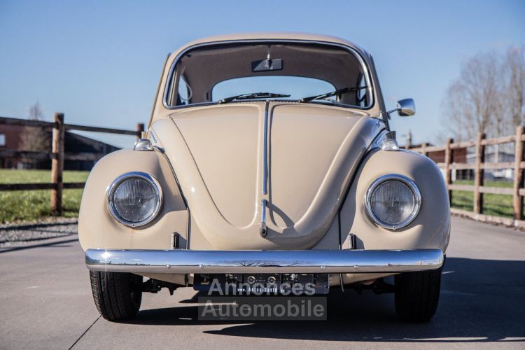 Volkswagen Coccinelle Volkswagen Kever 1300 - OLDTIMER - GOEDE STAAT - RADIO - LEDER - <small></small> 13.999 € <small>TTC</small> - #2