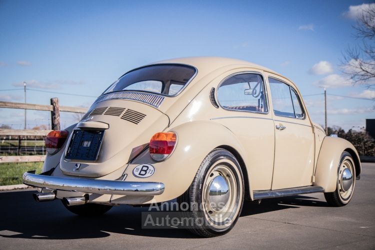Volkswagen Coccinelle Volkswagen Kever 1300 - OLDTIMER - GOEDE STAAT - RADIO - LEDER - <small></small> 13.999 € <small>TTC</small> - #5