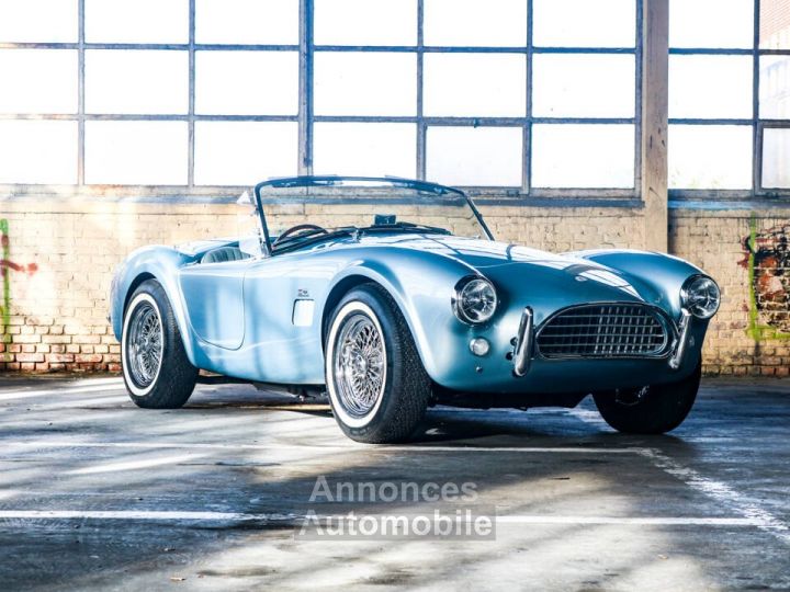 AC Cobra 289 - 19