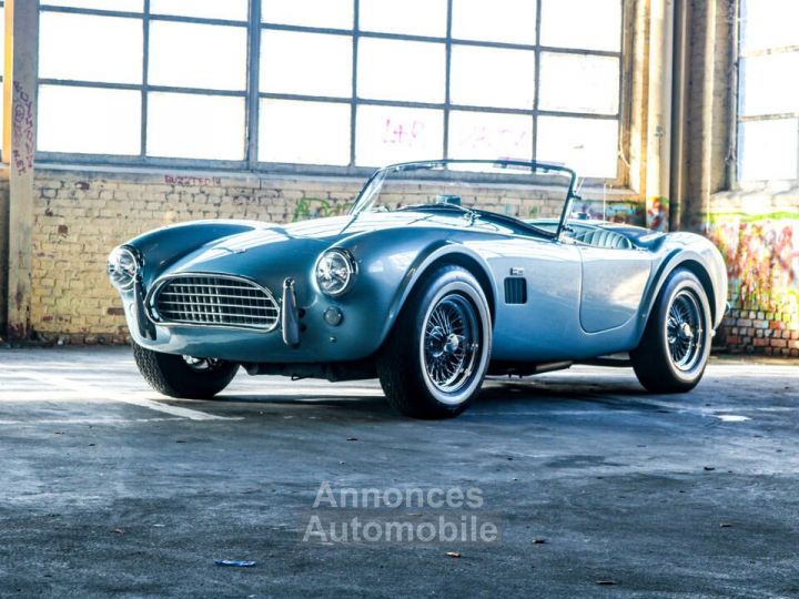 AC Cobra 289 - 20