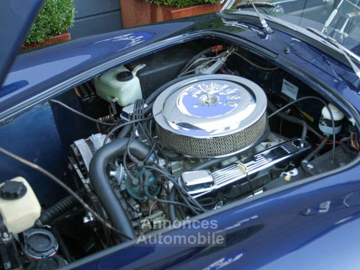 AC Cobra Dax 427 V8 3.5 Rover - 28