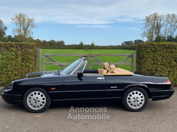 Alfa Romeo Spider - 5