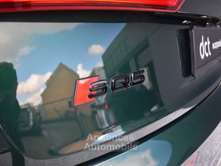 Audi SQ5 Pano Matrix Virtual cockpit Preheating Blind Spot - 9
