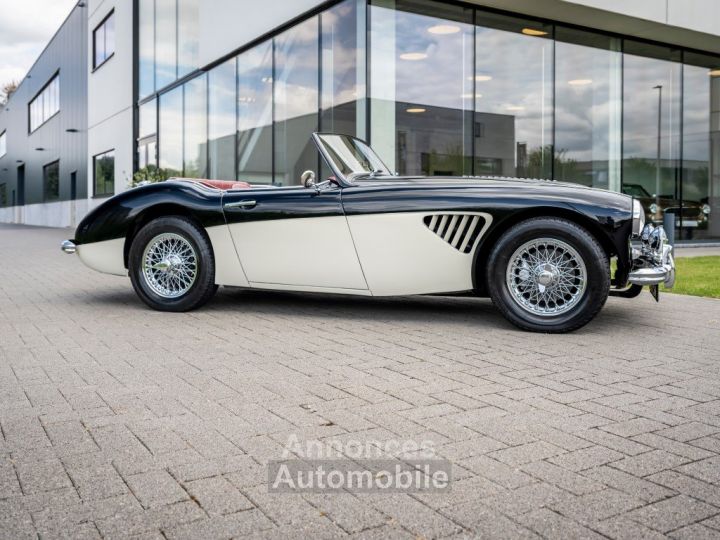 Austin Healey 100 100/6 - 36