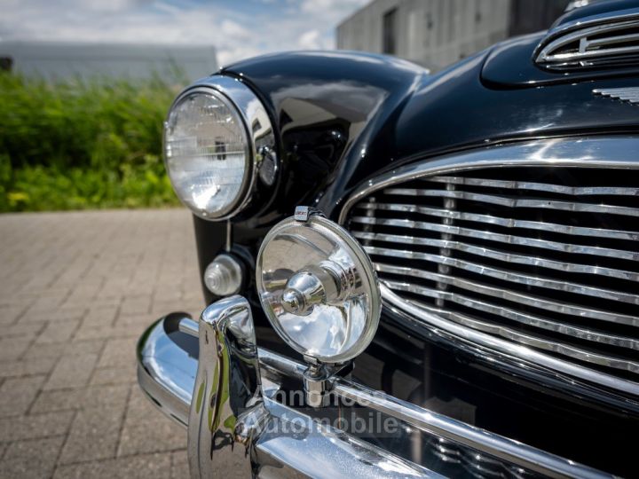 Austin Healey 100 100/6 - 37