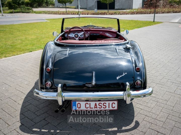 Austin Healey 100 100/6 - 42