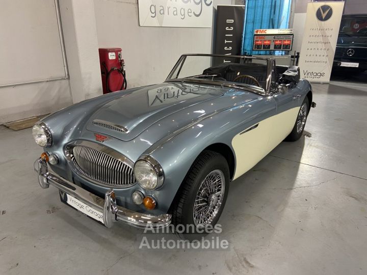 Austin Healey 3000 - 1