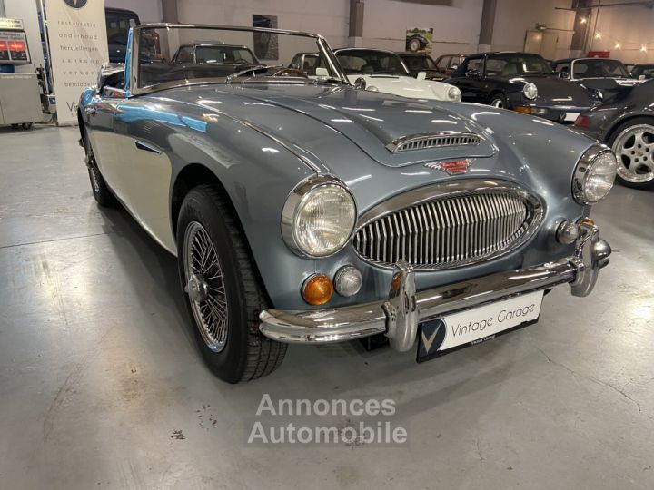 Austin Healey 3000 - 7