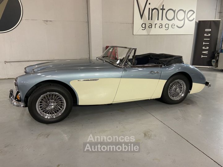 Austin Healey 3000 - 9