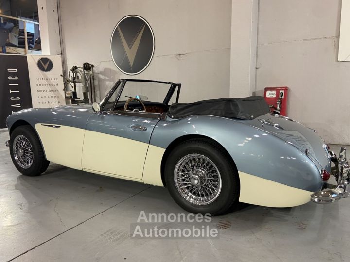 Austin Healey 3000 - 10