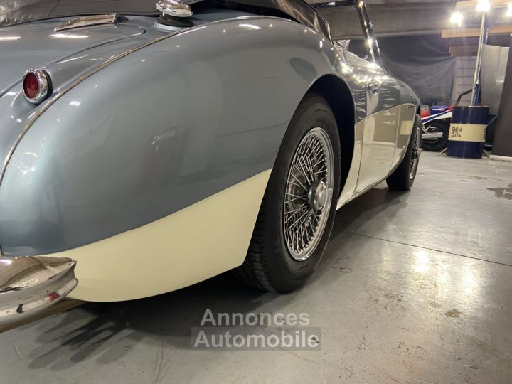 Austin Healey 3000 - 16