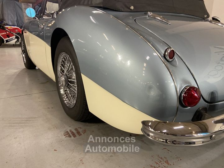 Austin Healey 3000 - 17