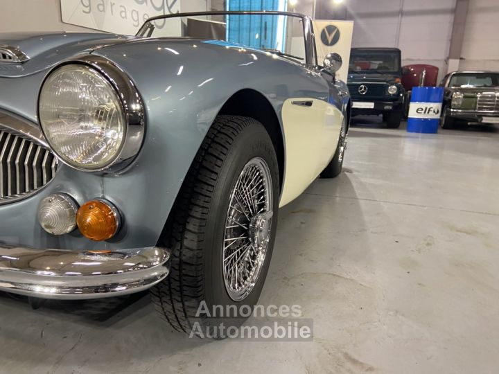 Austin Healey 3000 - 18