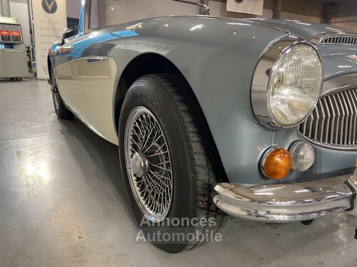 Austin Healey 3000 - 19