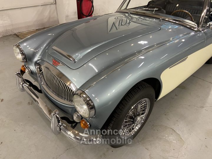 Austin Healey 3000 - 22