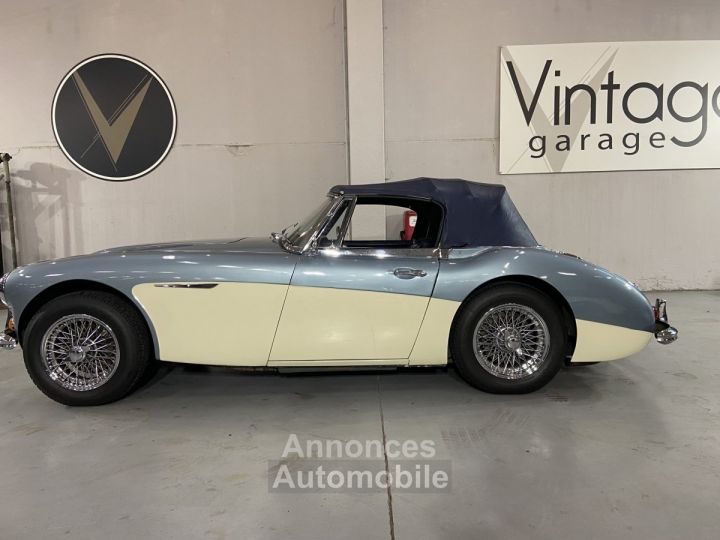 Austin Healey 3000 - 45