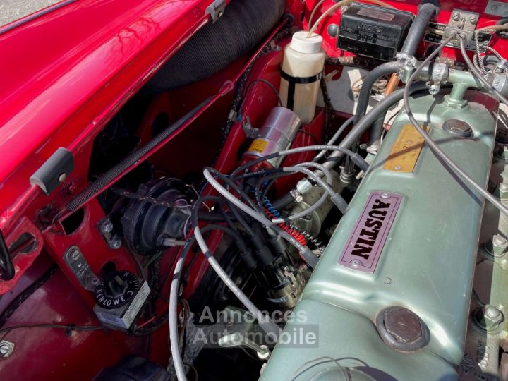 Austin Healey 3000 BJ8 6 cylindres - 65