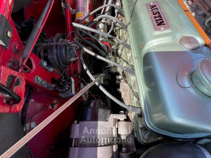 Austin Healey 3000 BJ8 6 cylindres - 69
