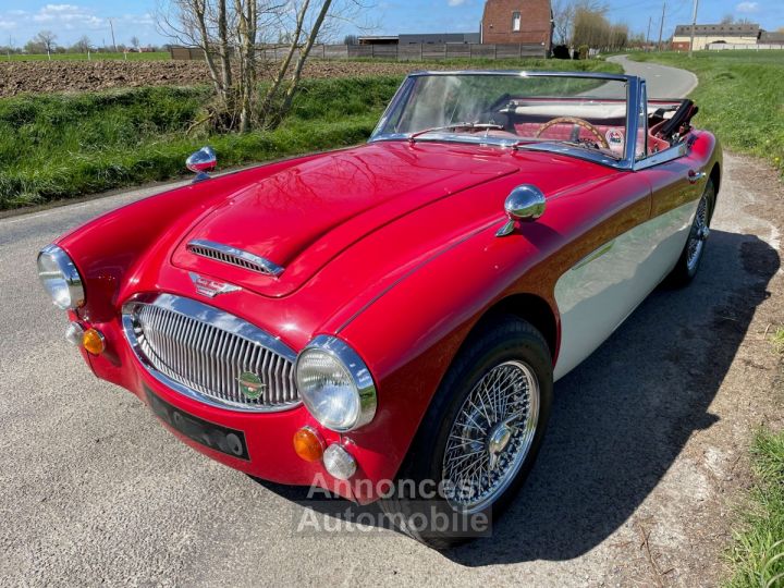 Austin Healey 3000 BJ8 MKII 6 cylindres - 4