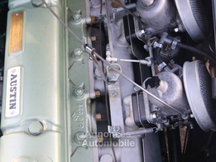 Austin Healey 3000 Mk II (BJ7) - 33