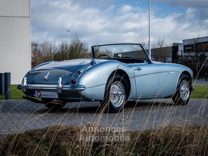 Austin Healey 3000 MKII BN7 - 3