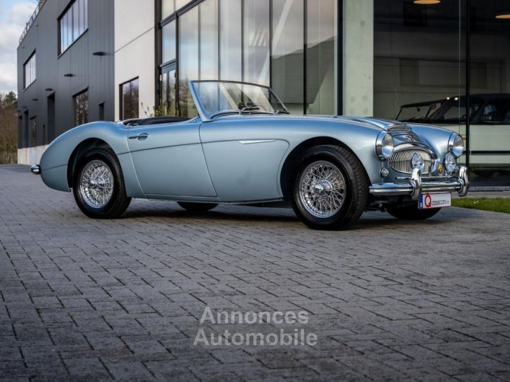 Austin Healey 3000 MKII BN7 - 4