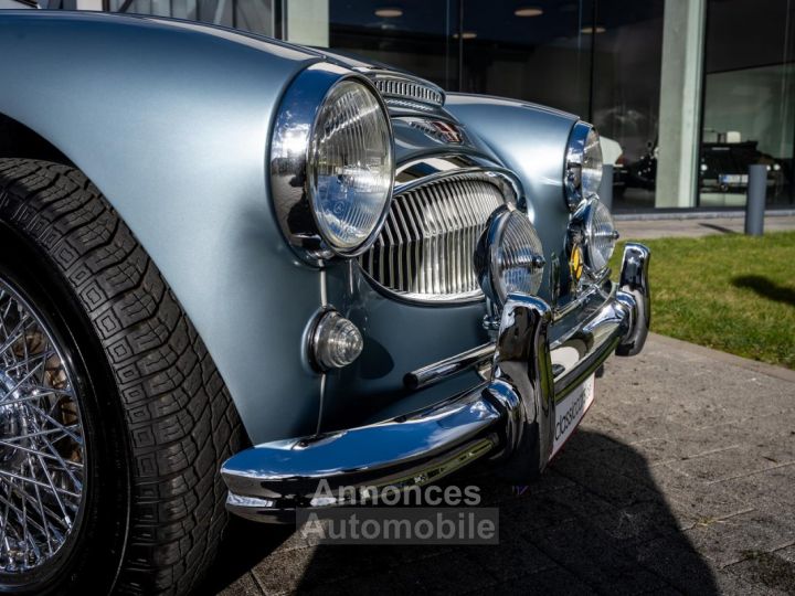 Austin Healey 3000 MKII BN7 - 6