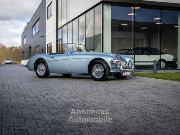 Austin Healey 3000 MKII BN7 - 7