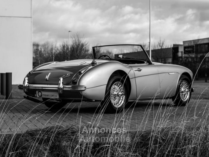 Austin Healey 3000 MKII BN7 - 8