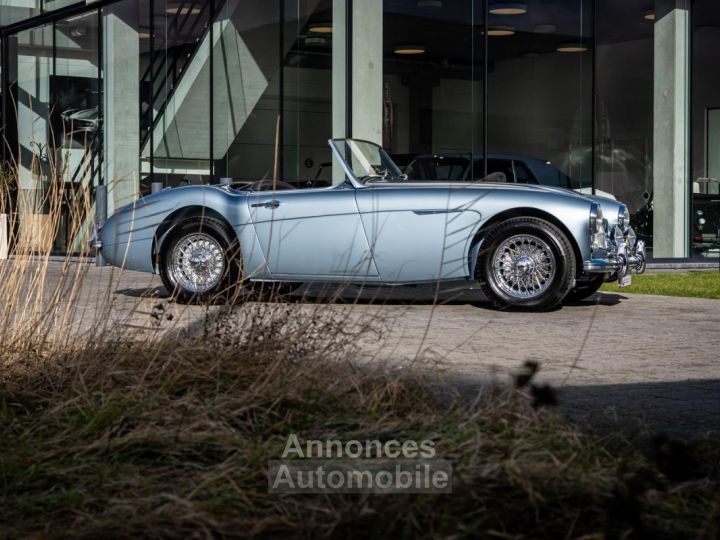 Austin Healey 3000 MKII BN7 - 11