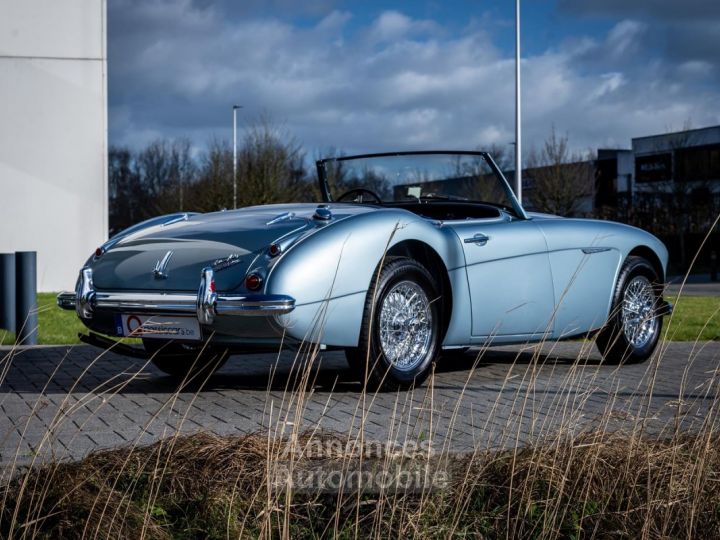 Austin Healey 3000 MKII BN7 - 13