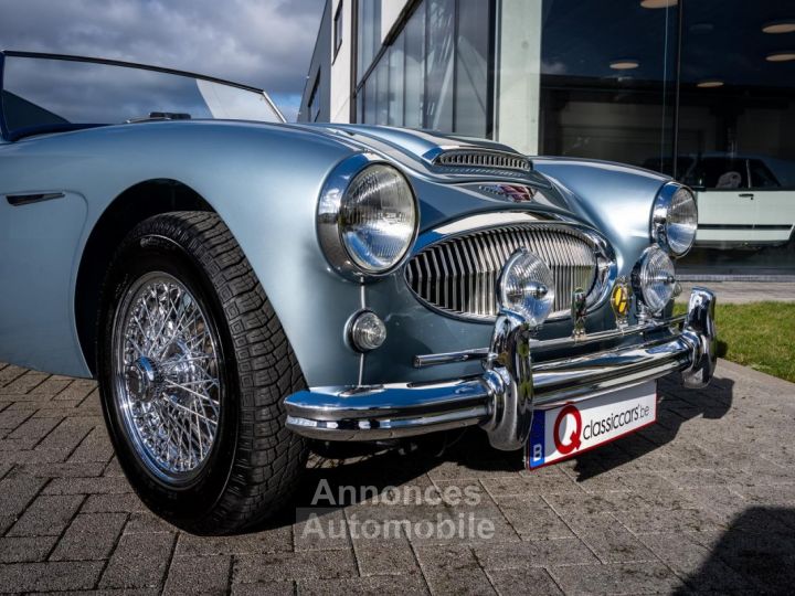 Austin Healey 3000 MKII BN7 - 15