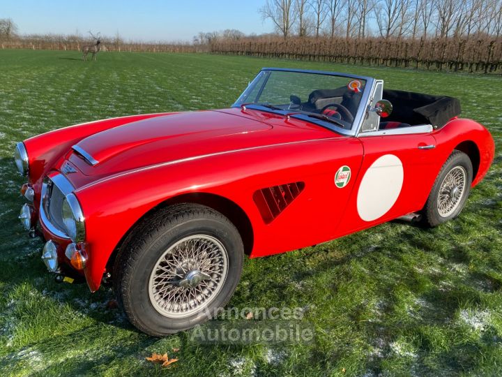 Austin Healey 3000 MKIII - BJ8 - 1967 - 1