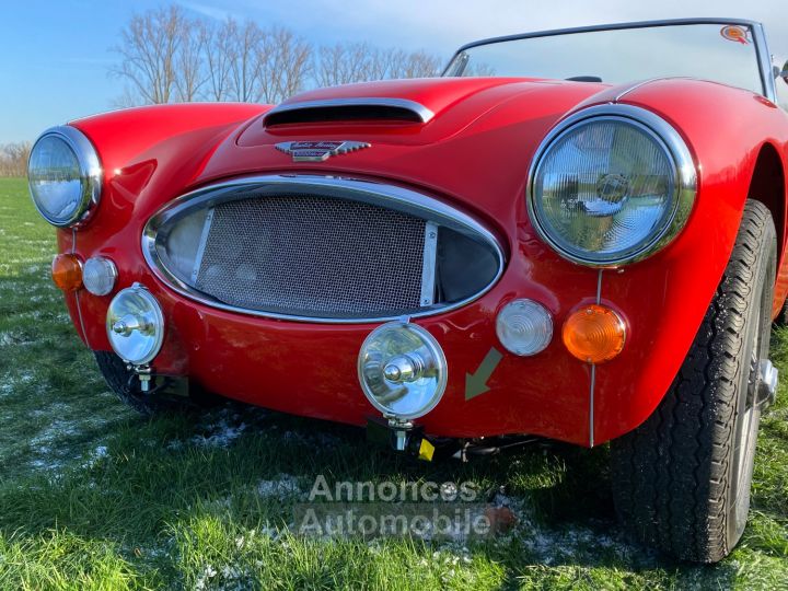 Austin Healey 3000 MKIII - BJ8 - 1967 - 3