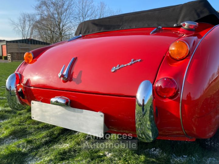 Austin Healey 3000 MKIII - BJ8 - 1967 - 4